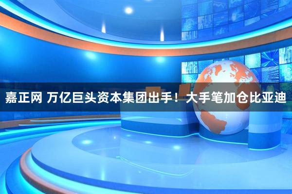 嘉正网 万亿巨头资本集团出手！大手笔加仓比亚迪